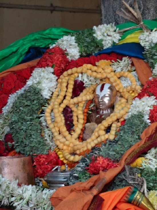 Kattumannarkoil Sri Alavandhar ThiruAvathara Utsavam13