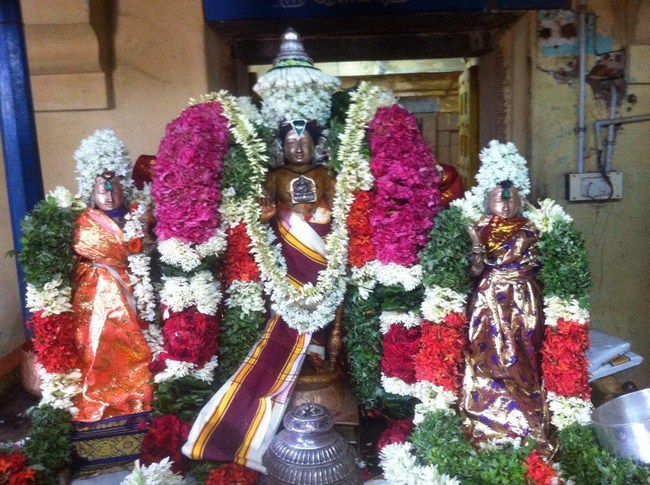 Kattumannarkoil Sri Alavandhar ThiruAvathara Utsavam26