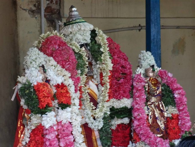 Kattumannarkoil Sri Alavandhar ThiruAvathara Utsavam36