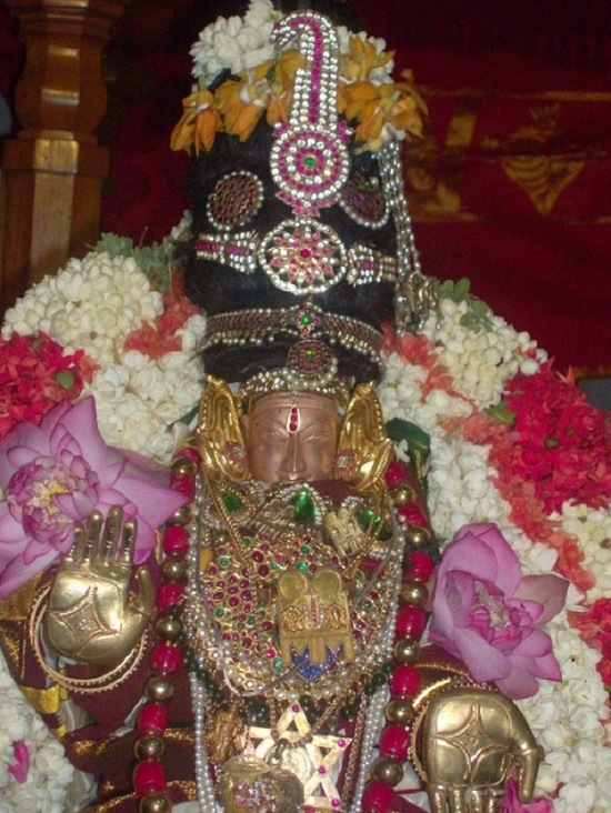 Madipakkam Sri Bhoomi Devi Thayar Kadai Vellikizhamai Utsavam29