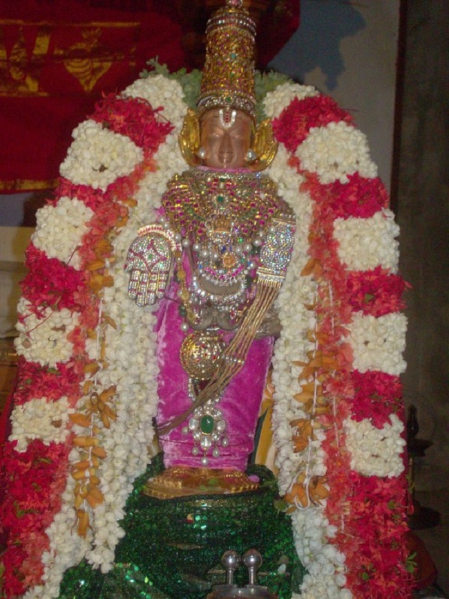 Madipakkam Sri Bhoomi Devi Thayar Kadai Vellikizhamai Utsavam6