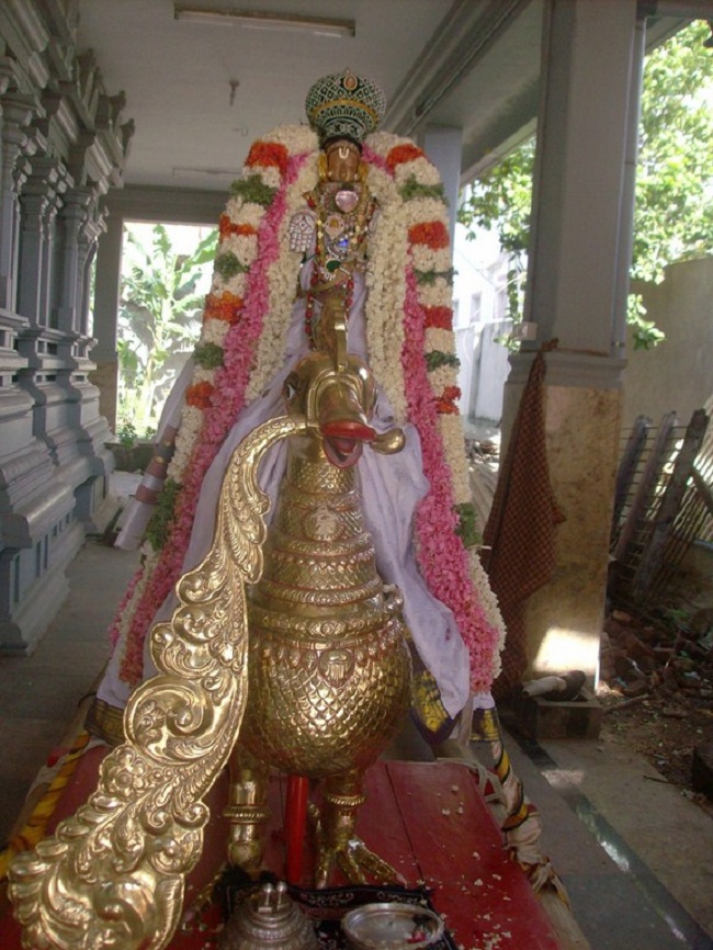 Madipakkam Sri Oppilliappan Pattabhisheka Ramar Temple Varshika Brahmotsavam22