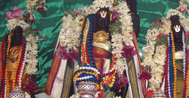 Malaiyur Sri Kothandaramaswami Temple Pavithrotsavam 2014 08
