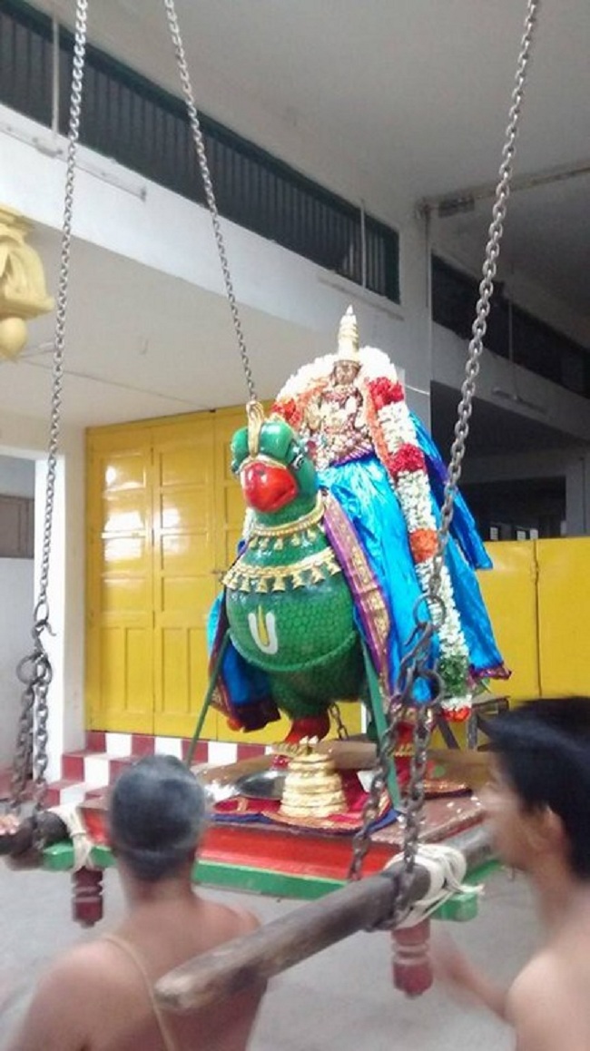 Mylapore SVDD Sri Alarmelumagai Thayar Aadi Velli Kizhamai Purappadu1