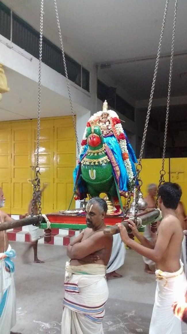 Mylapore SVDD Sri Alarmelumagai Thayar Aadi Velli Kizhamai Purappadu12