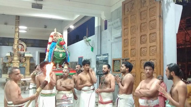 Mylapore SVDD Sri Alarmelumagai Thayar Aadi Velli Kizhamai Purappadu15