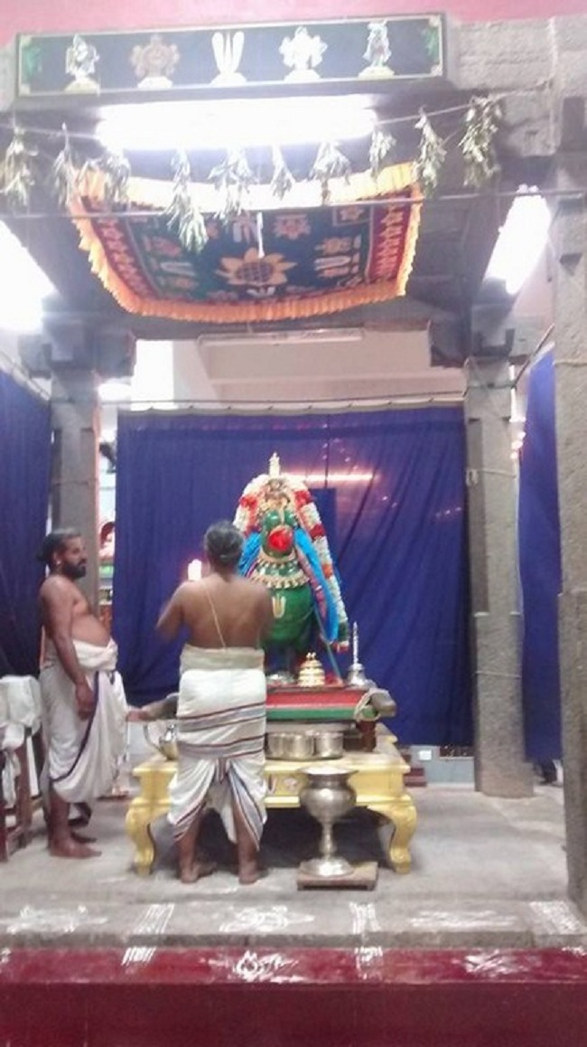 Mylapore SVDD Sri Alarmelumagai Thayar Aadi Velli Kizhamai Purappadu16