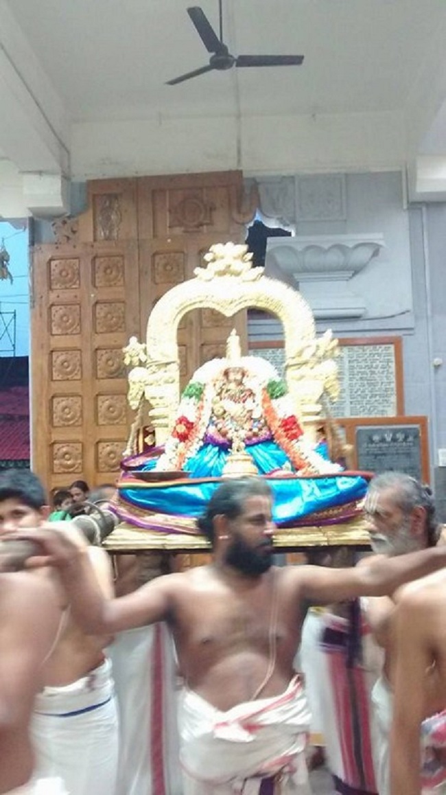 Mylapore SVDD Sri Alarmelumagai Thayar Aadi Velli Kizhamai Purappadu4