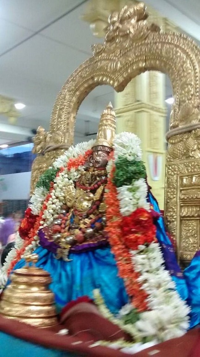 Mylapore SVDD Sri Alarmelumagai Thayar Aadi Velli Kizhamai Purappadu5