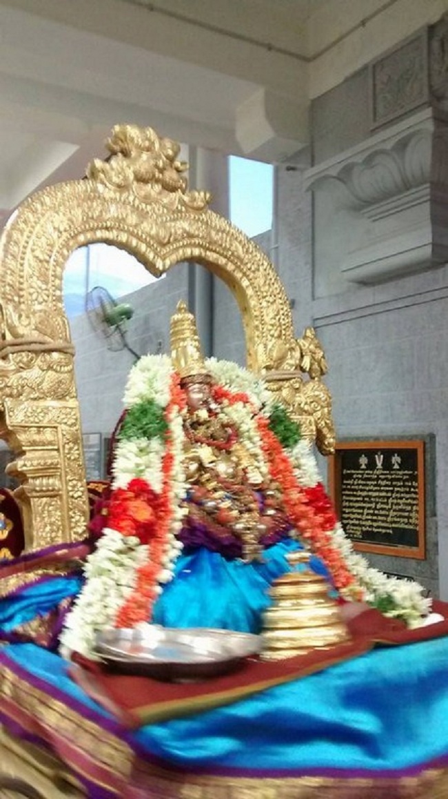 Mylapore SVDD Sri Alarmelumagai Thayar Aadi Velli Kizhamai Purappadu6