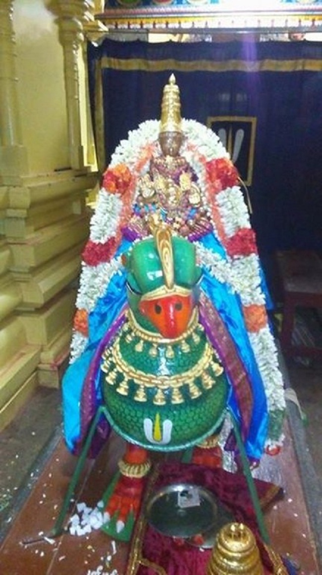 Mylapore SVDD Sri Alarmelumagai Thayar Aadi Velli Kizhamai Purappadu7