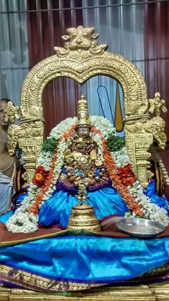 Mylapore SVDD Sri Alarmelumagai Thayar Aadi Velli Kizhamai Purappadu7