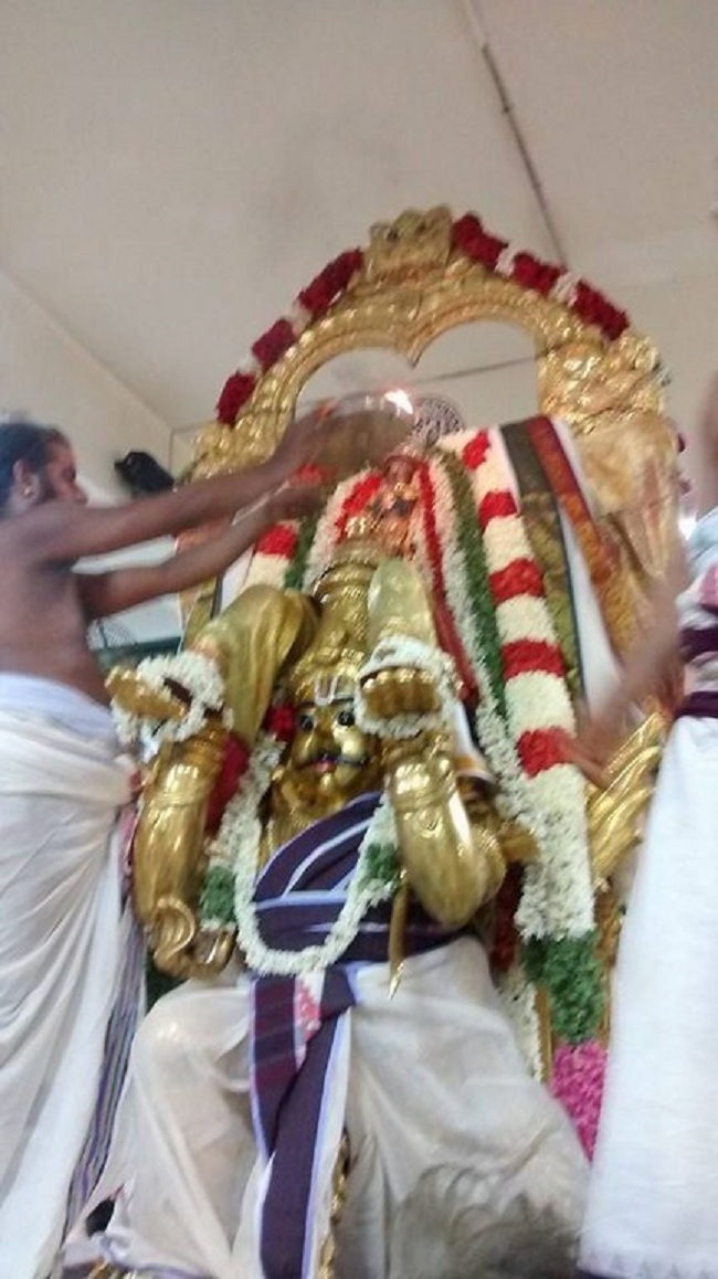 Mylapore SVDD Sri Srinivasa Perumal Aadi Garudan17