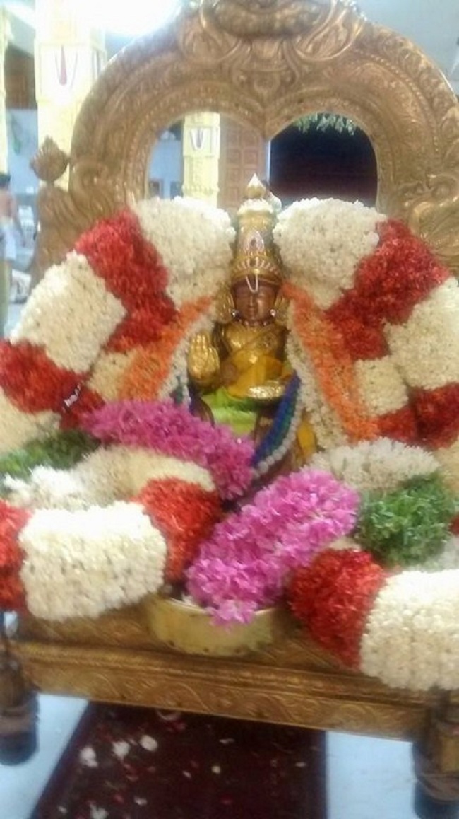 Mylapore SVDD Sri Srinivasa Perumal Aadi Garudan18