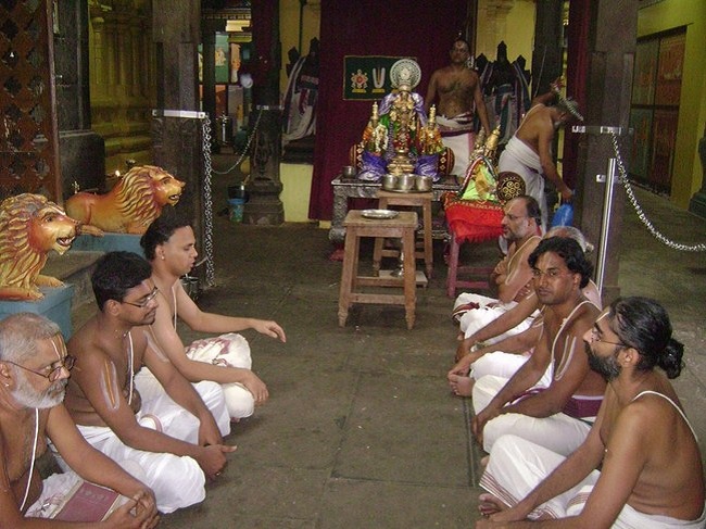 Mylapore SVDD Sri Srinivasa Perumal Aadi Garudan19