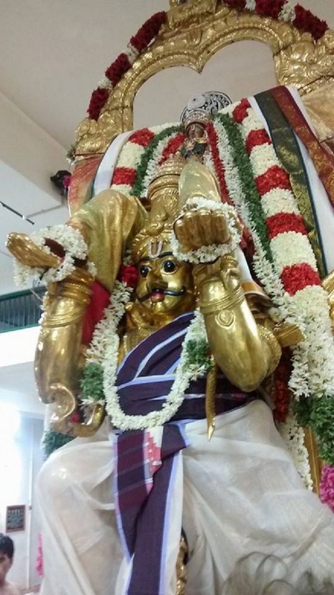 Mylapore SVDD Sri Srinivasa Perumal Aadi Garudan3