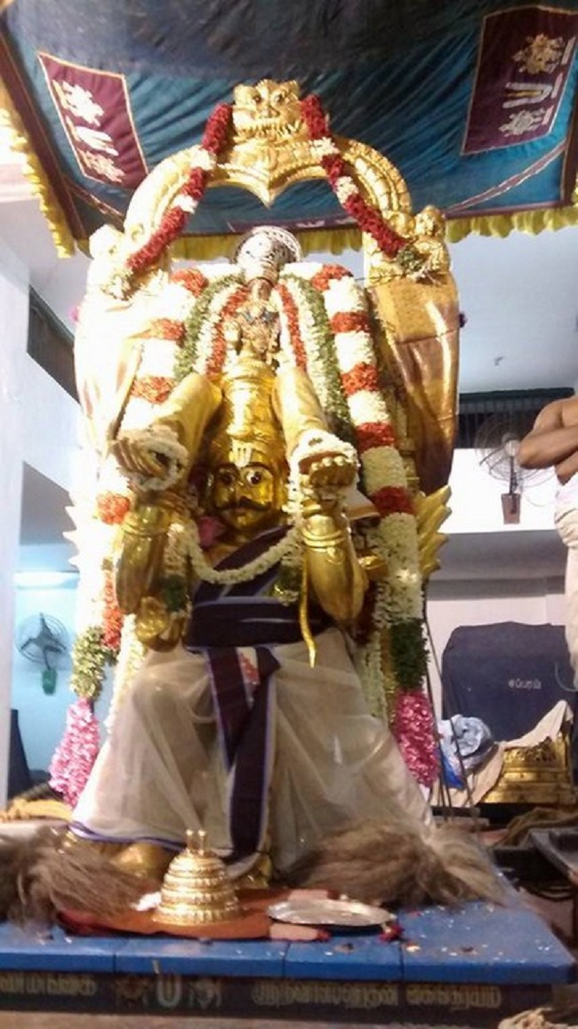 Mylapore SVDD Sri Srinivasa Perumal Aadi Garudan6