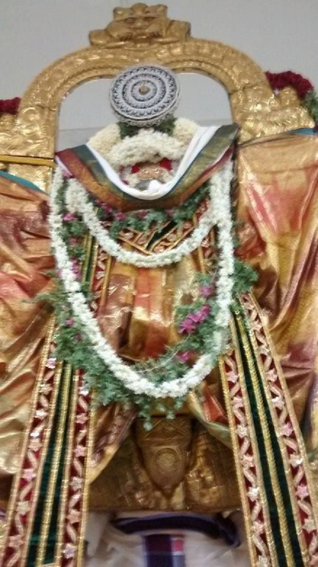 Mylapore SVDD Sri Srinivasa Perumal Aadi Garudan8