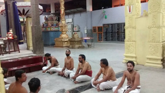 Mylapore SVDD Swami Alavandhar Thirunakshatra Purappadu1