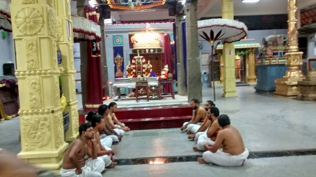 Mylapore SVDD Swami Alavandhar Thirunakshatra Purappadu11