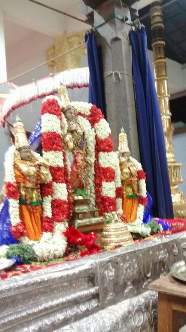 Mylapore SVDD Swami Alavandhar Thirunakshatra Purappadu12