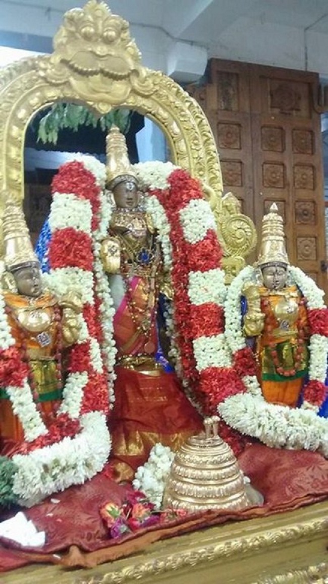 Mylapore SVDD Swami Alavandhar Thirunakshatra Purappadu3