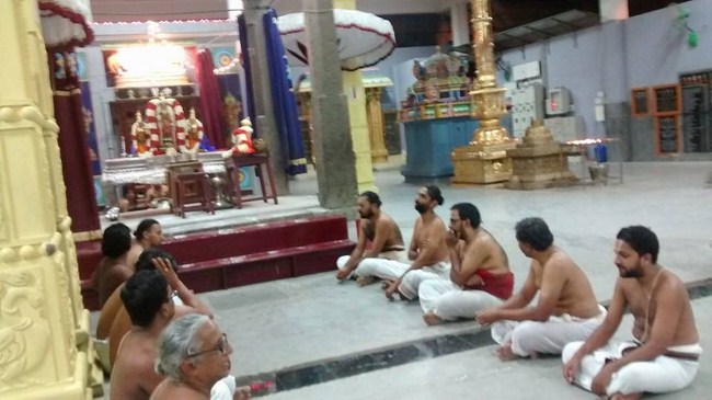 Mylapore SVDD Swami Alavandhar Thirunakshatra Purappadu6