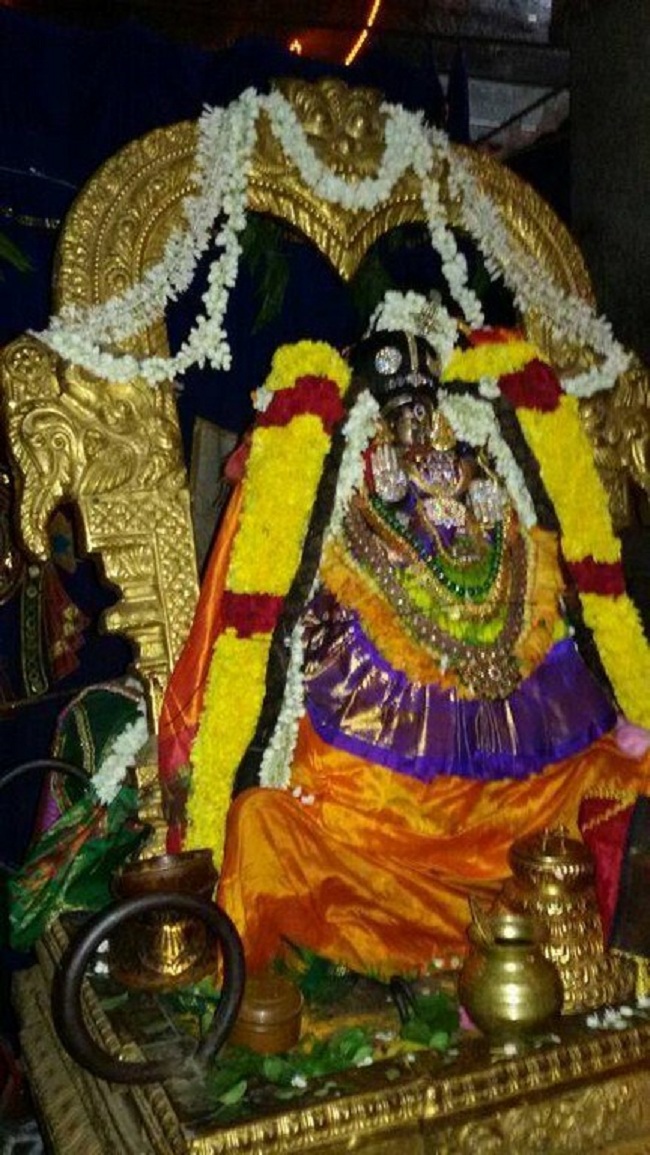 Mylapore Sri Adikesava Perumal Temple Sri Mayuravalli Thayar Aadi Vellikizhamai Purappadu2