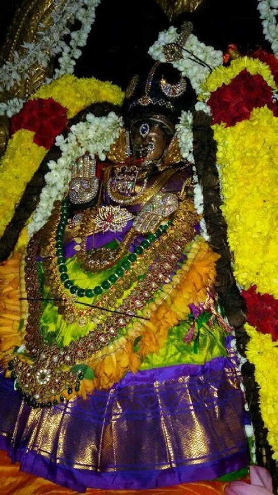 Mylapore Sri Adikesava Perumal Temple Sri Mayuravalli Thayar Aadi Vellikizhamai Purappadu3