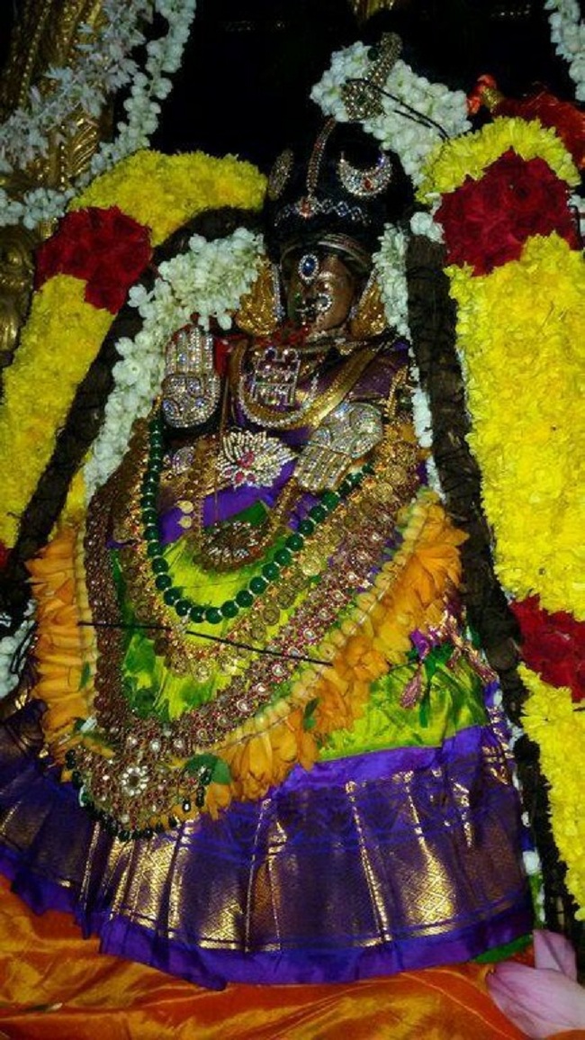 Mylapore Sri Adikesava Perumal Temple Sri Mayuravalli Thayar Aadi Vellikizhamai Purappadu6