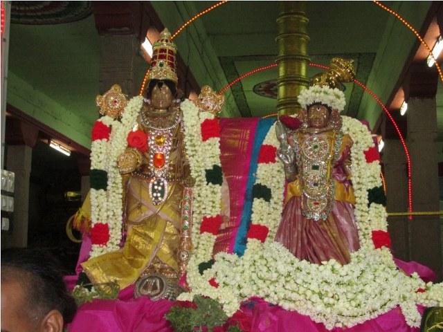 Nagai Soundararaja Perumal Kovil Sri Andal goradham THiruvadipooram Utsavam  day 9 2014 01