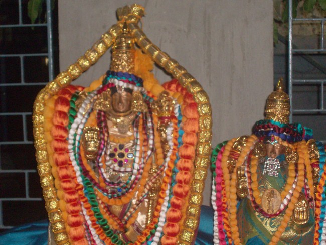 Nanganallur Sri Lakshmi Narasimhar Navaneetha Krishnan Temple Thirupavithrothsavam14