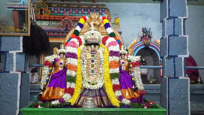 Nedumaram Sri Adhikesava Perumal Sannadhi Vikhanasar avatara mahotsavam 2014 08