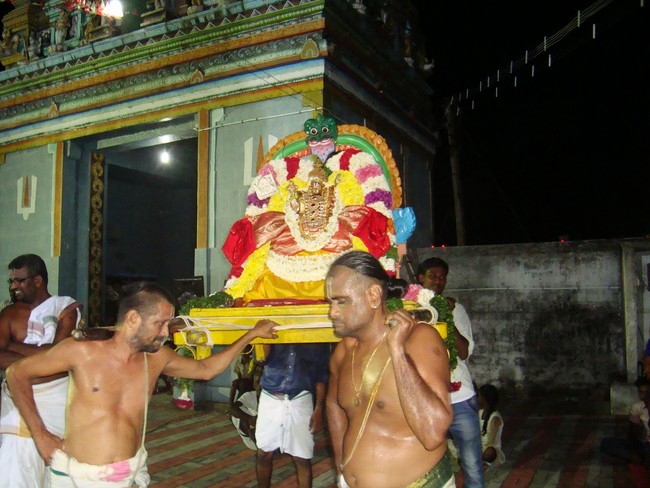 Nedumaram Sri Adhikesava Perumal Sannadhi Vikhanasar avatara mahotsavam 2014 23