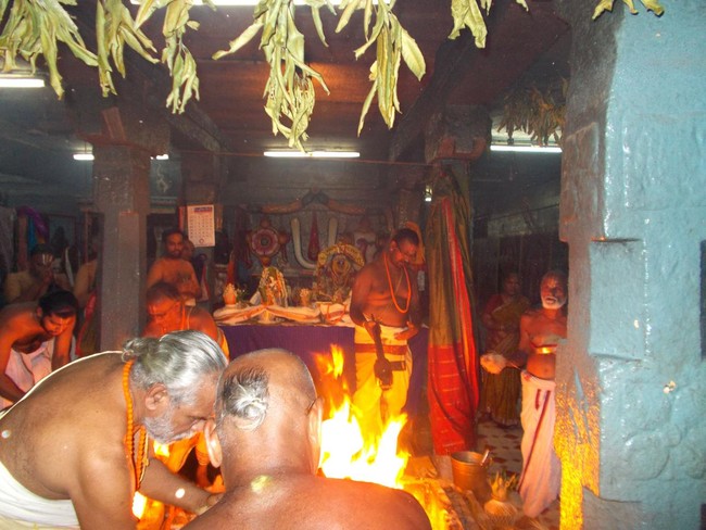 Padur Sri Prasanna Venkatesa Perumal Temple Pavithrotsavam 2014 03