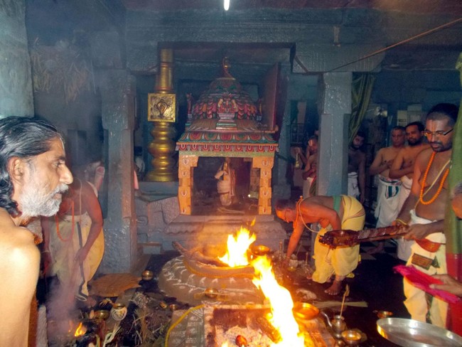 Padur Sri Prasanna Venkatesa Perumal Temple Pavithrotsavam 2014 04