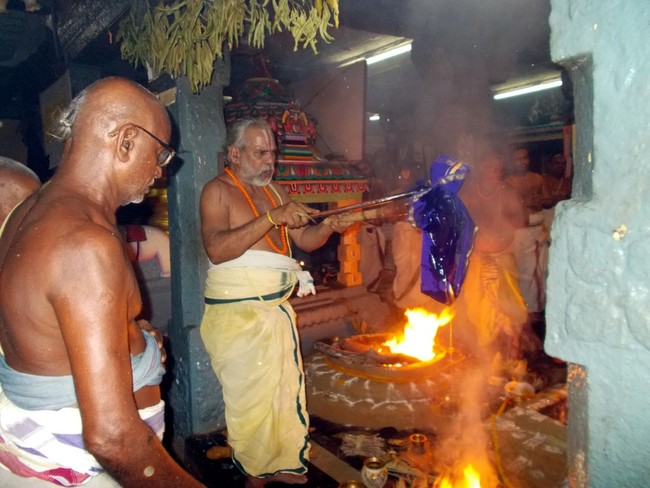 Padur Sri Prasanna Venkatesa Perumal Temple Pavithrotsavam 2014 05