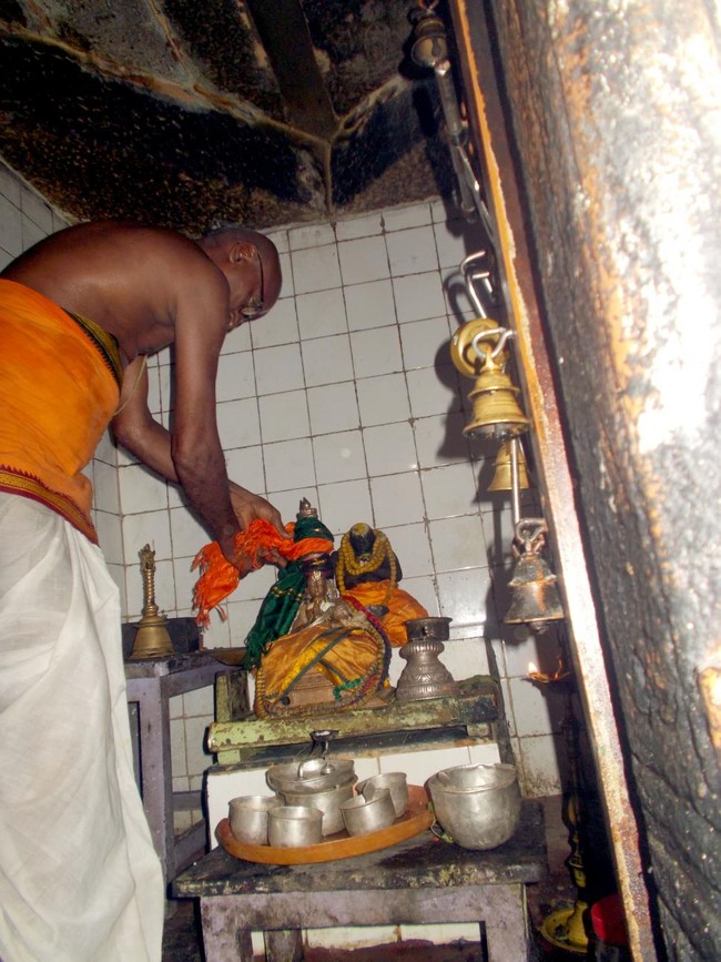 Padur Sri Prasanna Venkatesa Perumal Temple Pavithrotsavam 2014 19