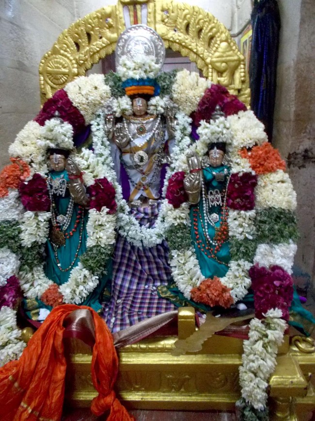 Padur Sri Prasanna Venkatesa Perumal Temple Pavithrotsavam 2014 20