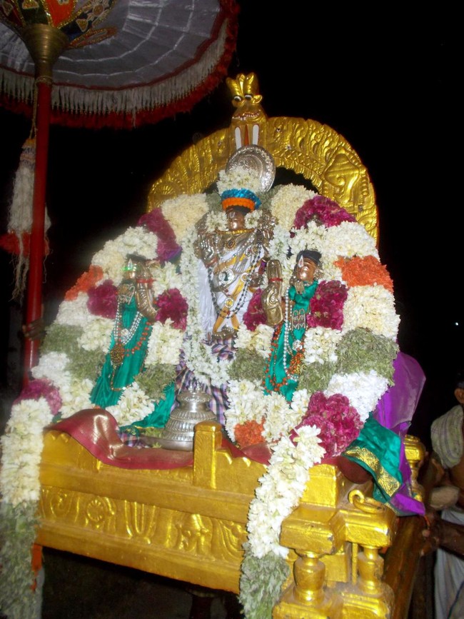 Padur Sri Prasanna Venkatesa Perumal Temple Pavithrotsavam 2014 21