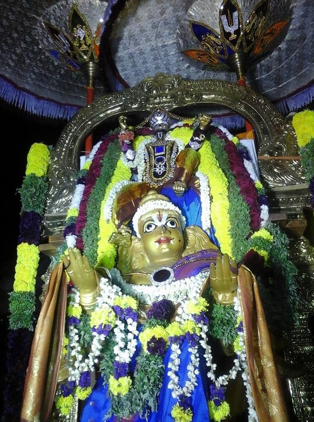 Palayamkottai  Sri Azhagiayamannar Rajagopala Swami Temple Garuda sevai 2014 2