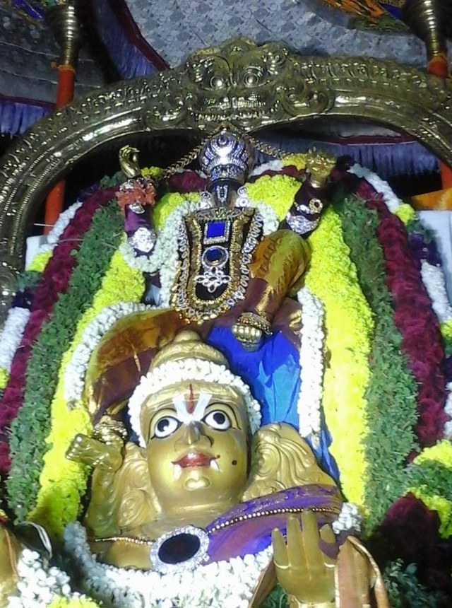 Palayamkottai  Sri Azhagiayamannar Rajagopala Swami Temple Garuda sevai 2014 7