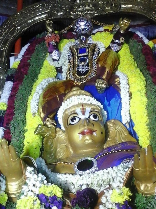 Palayamkottai  Sri Azhagiayamannar Rajagopala Swami Temple Garuda sevai 2014 8