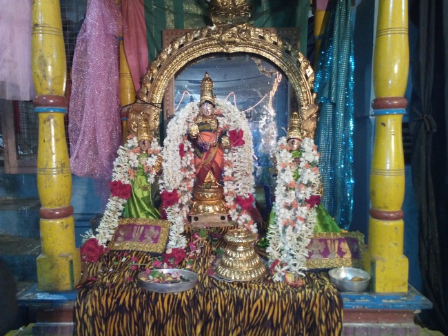 Perungalathur Srinivasa Peruamal Temple  Pavithrotsavam day 2 Mor 2014 05