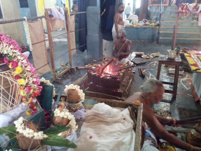 Perungalathur Srinivasa Peruamal Temple  Pavithrotsavam day 2 Mor 2014 06