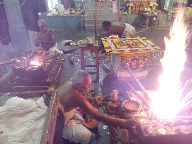Perungalathur Srinivasa Peruamal Temple  Pavithrotsavam day 2 Mor 2014 07