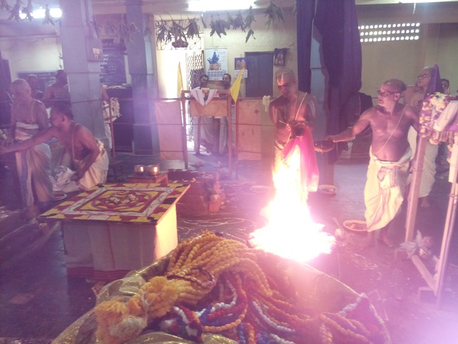 Perungalathur Srinivasa Peruamal Temple  Pavithrotsavam day 2 Mor 2014 10