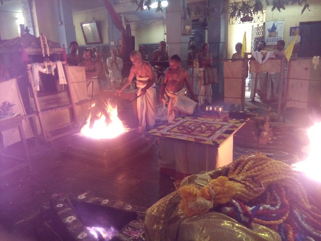 Perungalathur Srinivasa Peruamal Temple  Pavithrotsavam day 2 Mor 2014 11