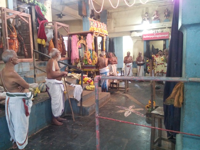 Perungalathur Srinivasa Peruamal Temple  Pavithrotsavam day 2 Mor 2014 16
