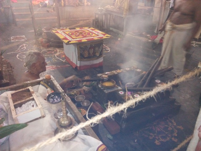 Perungalathur Srinivasa Perumal Temple Pavithrotsavam day 1 2014 04